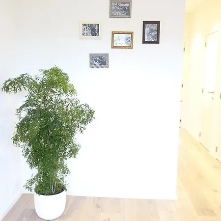 Apartamento Historic City Centre At Vrijdagmarkt 18 C2 Amberes